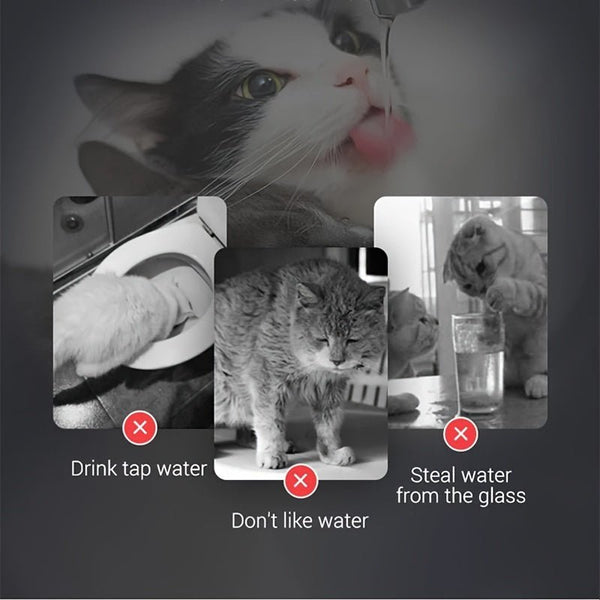 60.87oz Smart Pet Water Fountain, Automatic Cat Water Fountain, Transparent Ultra Quiet Cat Water Dispenser For Indoor Cats - Eco Explorer Hub