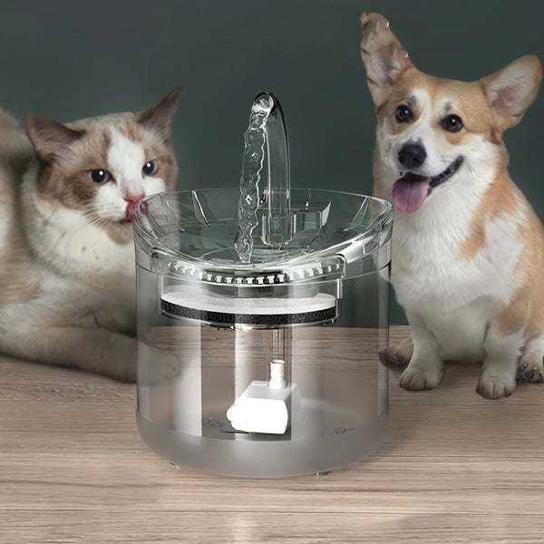 60.87oz Smart Pet Water Fountain, Automatic Cat Water Fountain, Transparent Ultra Quiet Cat Water Dispenser For Indoor Cats - Eco Explorer Hub